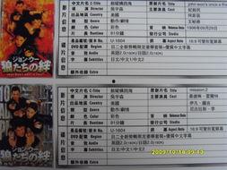 新：纵横,探索新时代的跨界融合与创新之路