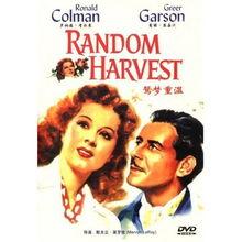 鸳梦重温,穿越时空的浪漫邂逅