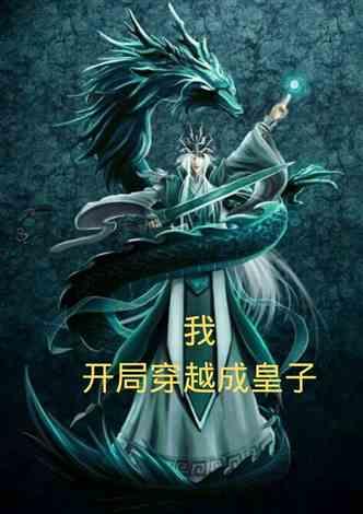 开局人皇鼎，我真的想要做皇子,皇子之路的奇幻征程