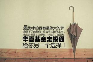 你我皆是摆渡人,共赴生命旅程的温暖陪伴