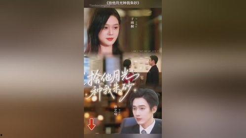 拾他月光种我朱砂,月光下的朱砂印记